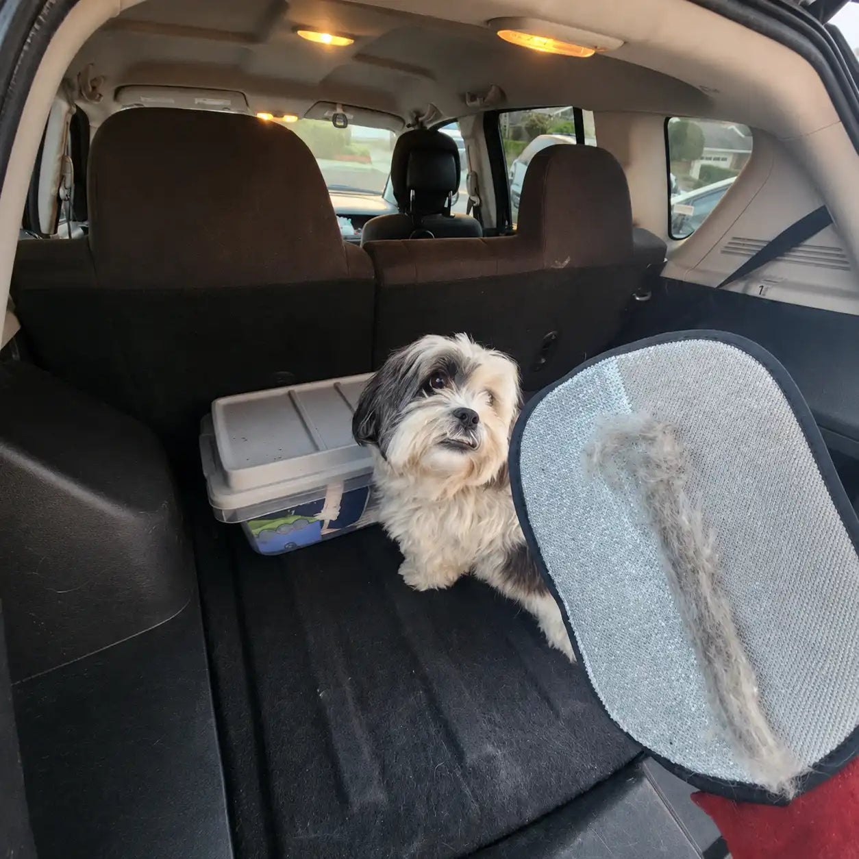 Guante PetSweep™